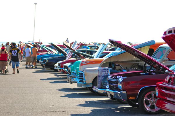 Top Non-Dairy Power Foods Packed with Calcium for Boosting Bone Health in Menopausal Women